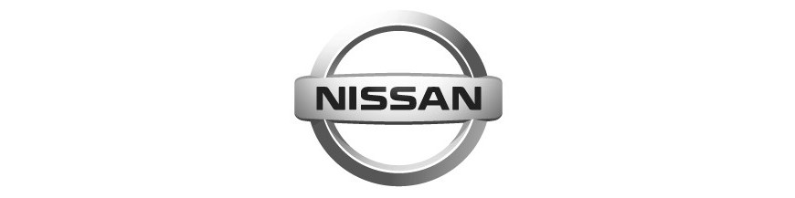 Qashqai + 2 (NJ10) 5dr SUV 2008 - 2010 z relingami